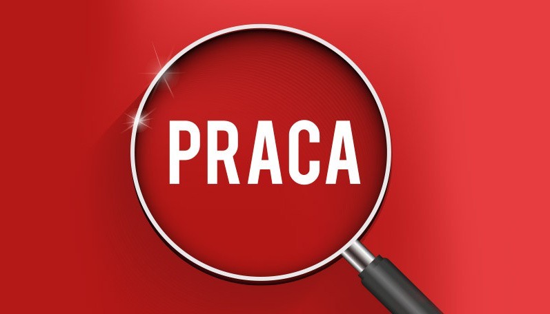 oferta pracy